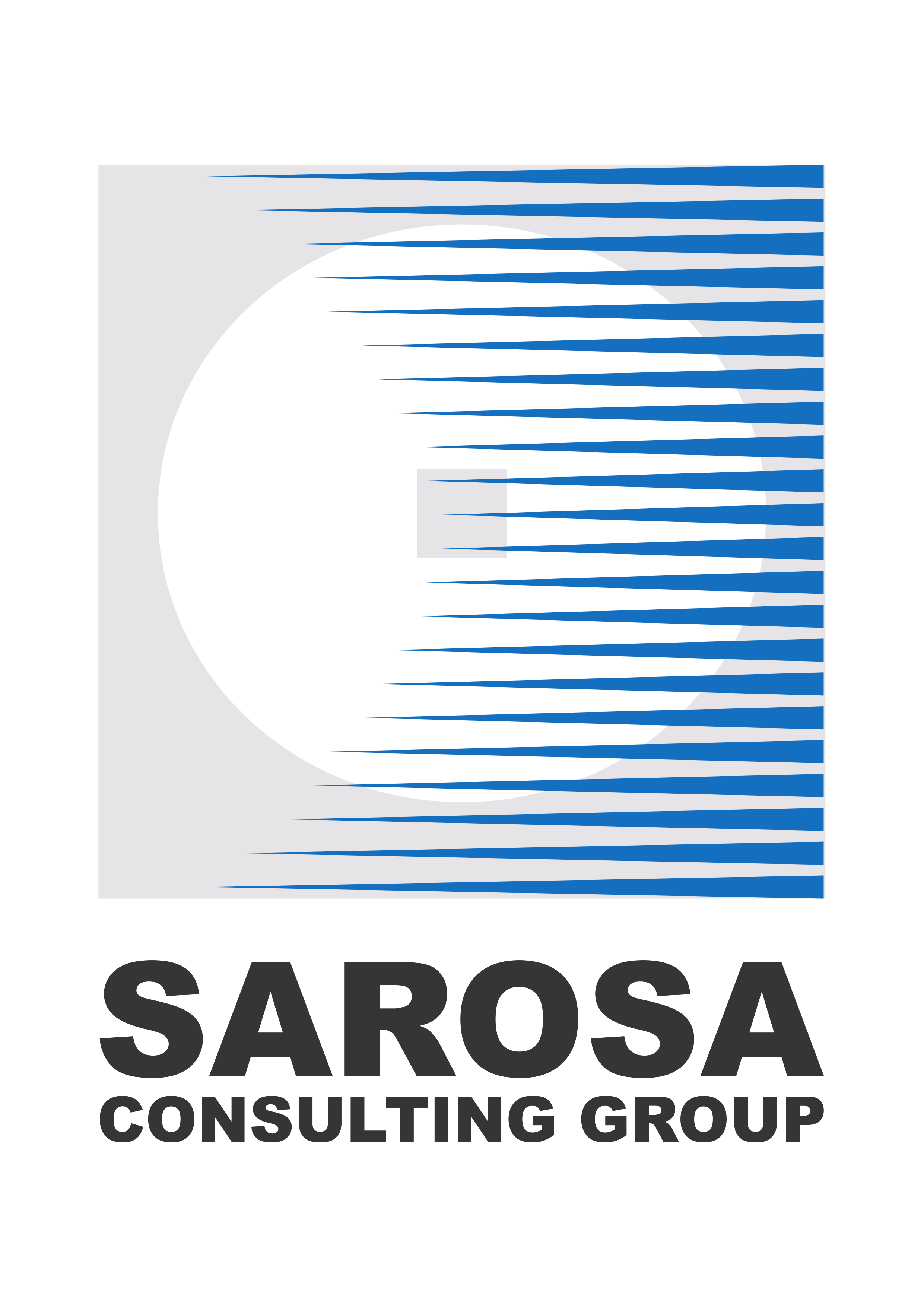 SAROSA CONSULTING X DIBA